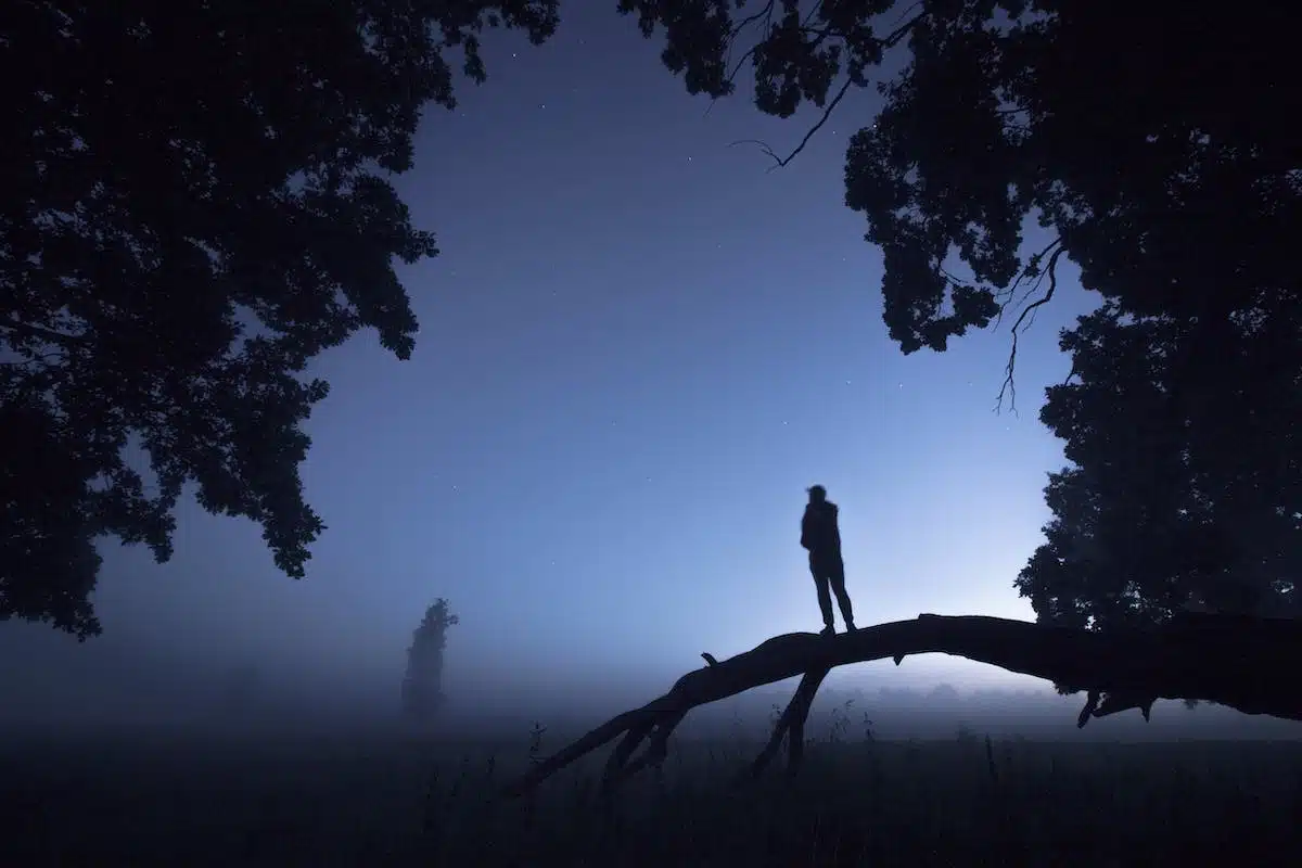 mode  silhouette