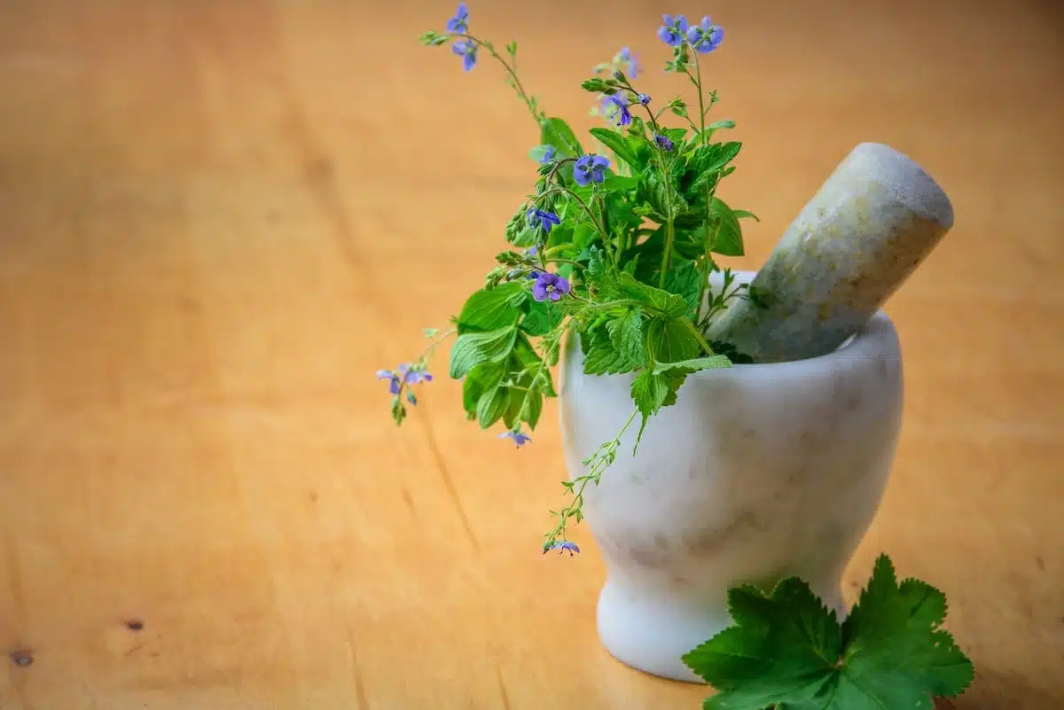 nature  santé